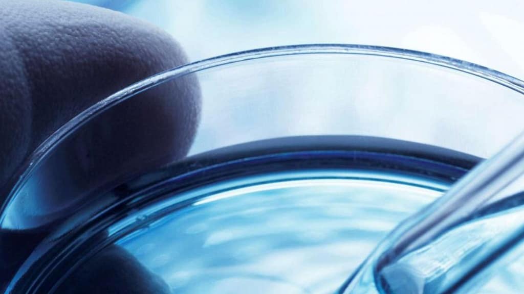 Déficit de biotinidasa o Déficit múltiple de carboxilasas