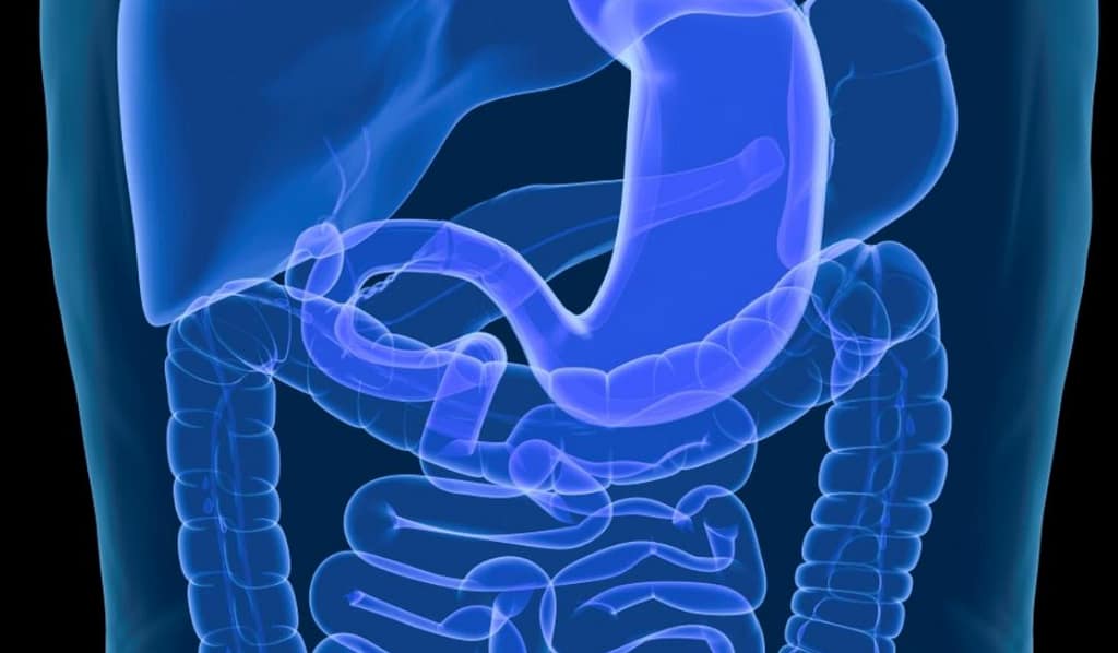 Perfil clínico y evolutivo de la enfermedad de Crohn en el Hospital Rebagliati (Lima-Perú)