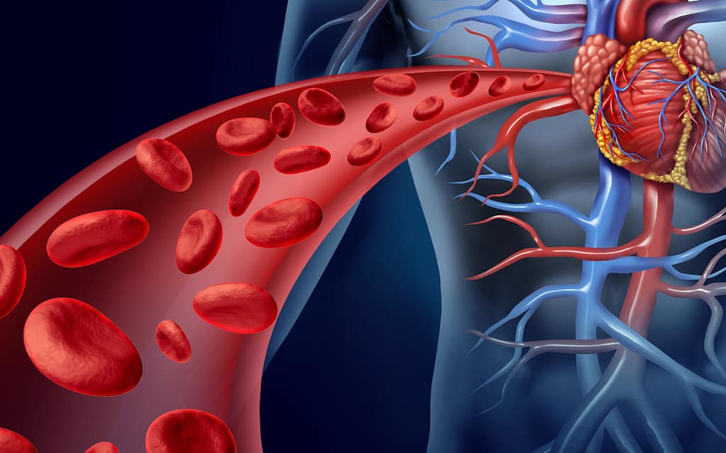Biomarcadores cardiacos de aterotrombosis y su implicación en la estimación del riesgo de enfermedad cardiovascular