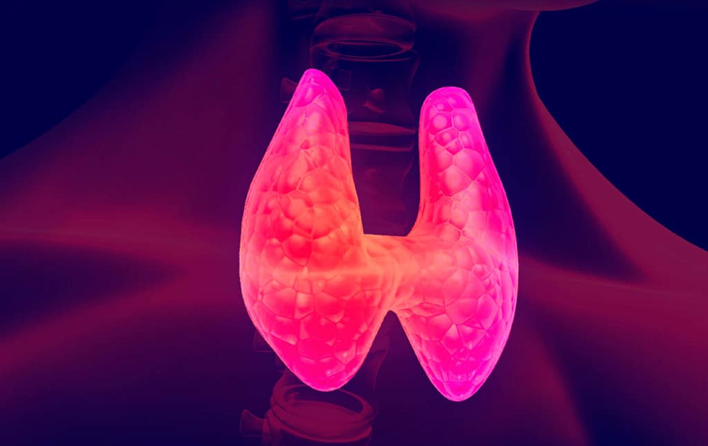 Efecto de la normalización de TSH y T4 libre sobre el perfil lipídico en población pediátrica con hipotiroidismo primario