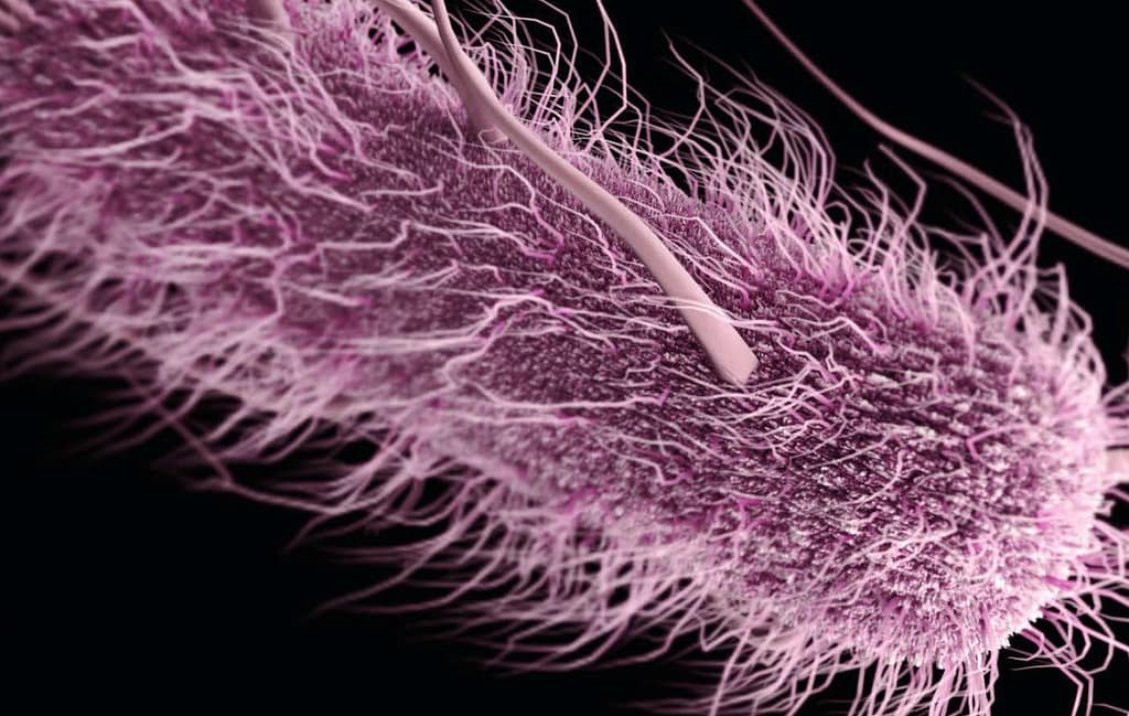 Urocultivo y parcial de orina en el diagnóstico de las infecciones del tracto urinario