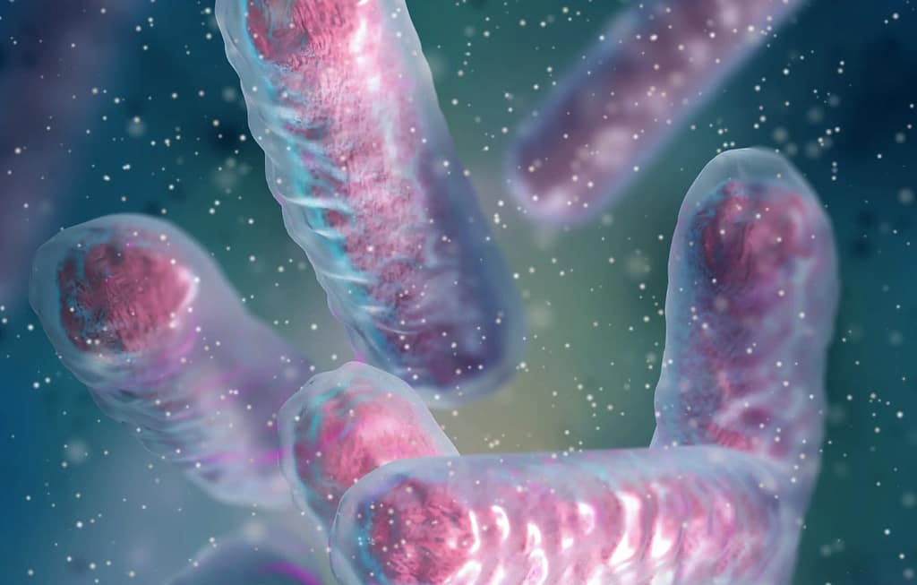 Ceftazidima/avibactam frente a otros antimicrobianos para el tratamiento de bacteriemias por Enterobacterales productores de carbapenemasa KPC: datos de la vida real en un hospital universitario de Argentina