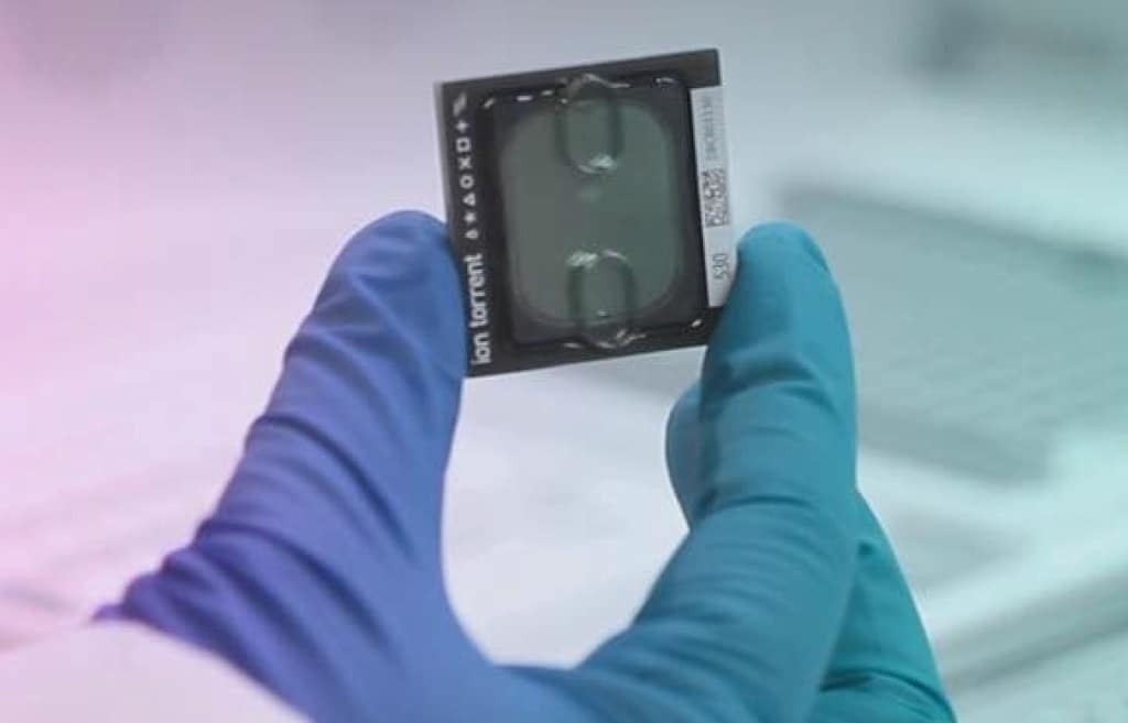 Edición 135 Noviembre 2022