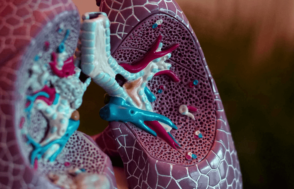 Microalbuminuria y proteína C reactiva ultrasensible como potenciales biomarcadores de inflamación sistémica en pacientes con Enfermedad Pulmonar Obstructiva Crónica