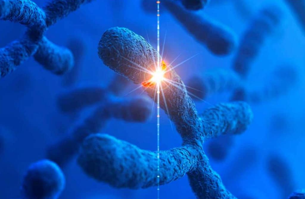 Caracterización citogenético-molecular de enfermedades genéticas en el Hospital Base de Puerto Montt