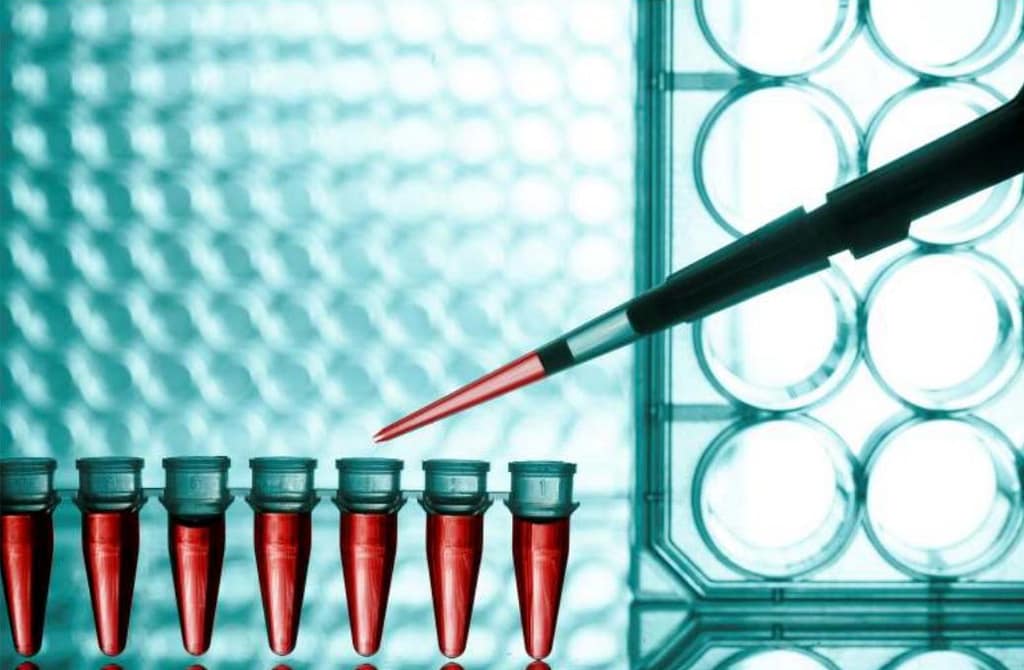 Predisposición genética para el cáncer de mama: genes BRCA1 y BRCA2
