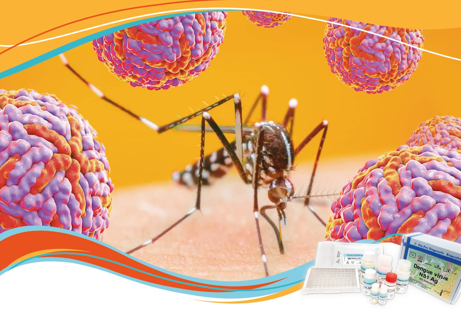 Dengue virus NS1 Ag (ELISA) de Dia.Pro: clave para la detección específica temprana