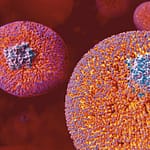 ¿Qué debe saber el cardiólogo clínico sobre la lipoproteína (a)?