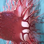 ICMT como potencial biomarcador en el cáncer