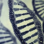 Resultados de seis años de estudios citogenéticos en líquido amniótico