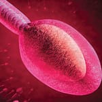 Espermocultivo: crecimiento bacteriano del eyaculado y su relación con los parámetros seminales