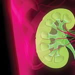 Microalbuminuria: factor predictor de la función renal en mujeres gestantes
