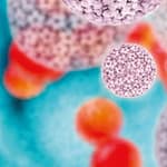 Modernas metodologías diagnósticas para la detección del Virus del Papiloma Humano y prevención del cáncer de cuello uterino