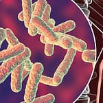 Claves diagnósticas en el síndrome hemolítico urémico atípico: a propósito de un caso