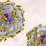 Infecciones vaginales en mujeres en edad fértil