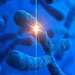 Caracterización citogenético-molecular de enfermedades genéticas en el Hospital Base de Puerto Montt