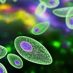 Toxoplasmosis congénita en gemelos