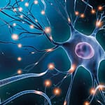 Anticuerpos onconeuronales y de Encefalitis Autoinmune