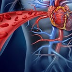 Biomarcadores cardiacos de aterotrombosis y su implicación en la estimación del riesgo de enfermedad cardiovascular