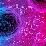 Técnicas de biología molecular aplicada al diagnóstico de laboratorio de múltiples enfermedades
