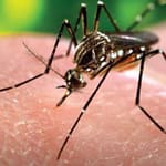 Variables clínicas en pacientes con sospecha de dengue, ingresados en un hospital de campaña