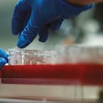 Implementación de un Sistema de Gestión de la Calidad en la Unidad de Diagnóstico de Virología Animal