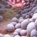 Frecuencia del género Candida en vagina de mujeres en edad reproductiva