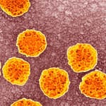 Detección de anticuerpos contra el virus de la hepatitis C en donantes de sangre voluntarios