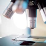 Definir la fertilidad en base a un análisis de semen es complicado