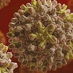 Inmunogenicidad de una vacuna recombinante anti hepatitis B en personal de salud*