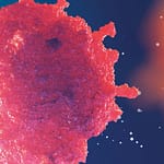 Inmunoterapia contra el cáncer: identificación de genes esenciales