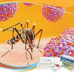 Dengue virus NS1 Ag (ELISA) de Dia.Pro: clave para la detección específica temprana
