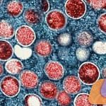 Viruela símica: la evolución viral y su impacto en el diagnóstico molecular