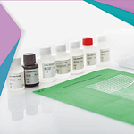 Inmunoensayos lineales (LIA): simplicidad y rapidez en el diagnóstico de la diabetes autoinmune