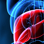 Biomarcadores séricos para la evaluación de la fibrosis hepática  