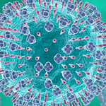 Diagnóstico diferencial en el manejo de infecciones respiratorias agudas mediante pruebas rápidas en el punto de atención en un escenario pospandemia en América Latina: enfoque especial en COVID-19, Influenza y Virus Sincicial Respiratorio.