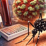 Utilidad diagnóstica de biomarcadores, para diagnóstico de dengue, complicaciones y prevalencia