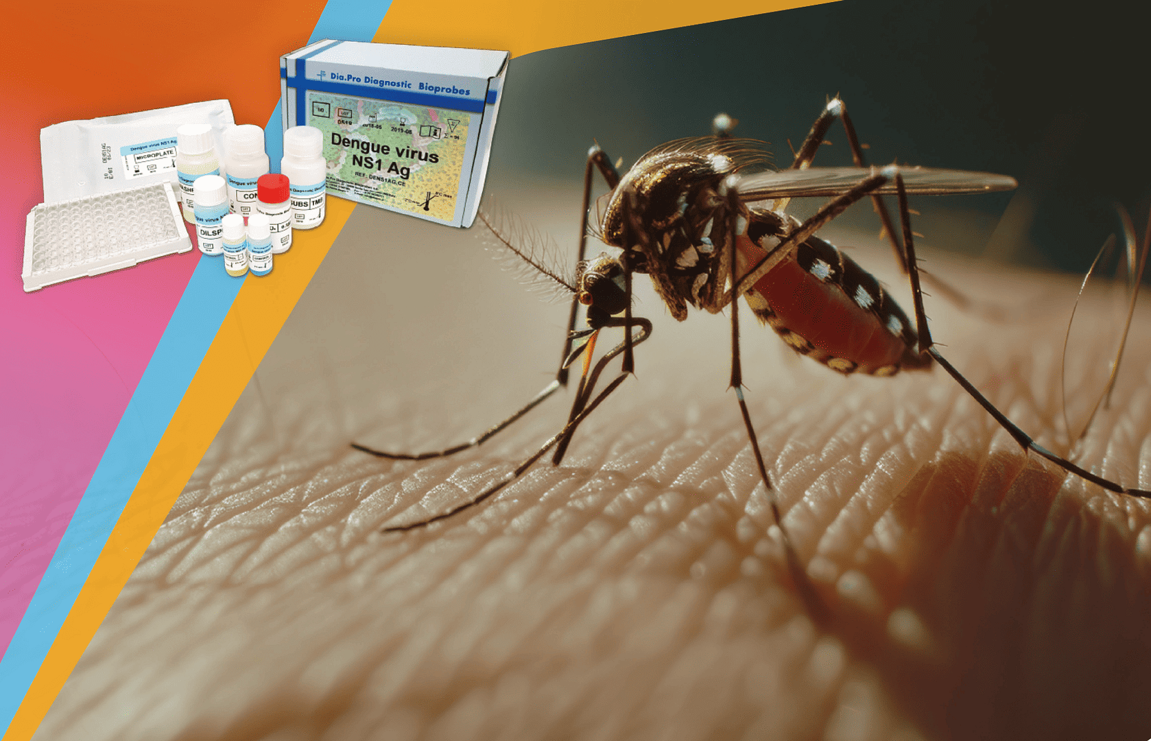 Evaluación analítica de ensayos basados en quimioluminiscencia para la medición de autoanticuerpos en diabetes tipo 1