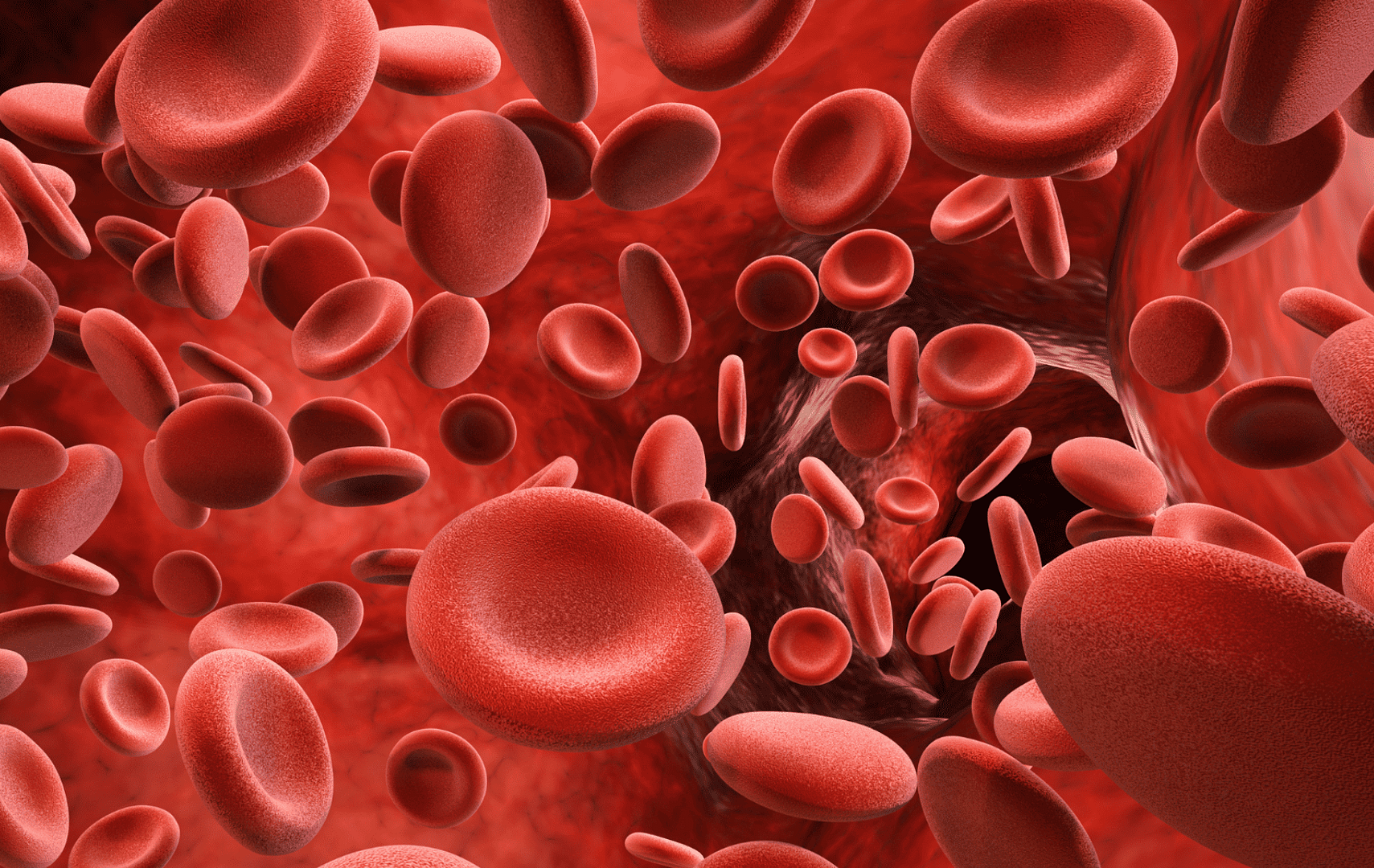 G6PDH (Glucosa-6-Fosfato Deshidrogenasa)