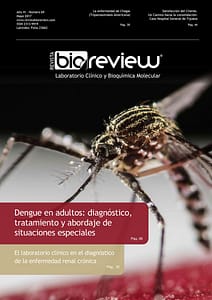 Dengue en adultos: diagnóstico, tratamiento y abordaje de situaciones especiales