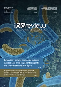 Detección y caracterización de autoanticuerpos anti-ZnT8 en pacientes argentinos con diabetes mellitus tipo 1