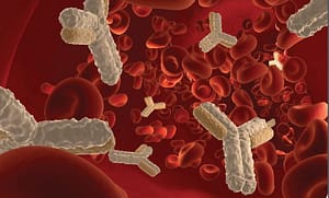 Concentración de autoanticuerpos IgG en hematíes y respuesta al tratamiento en la anemia hemolítica autoinmune