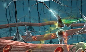 Niveles de respuesta autoinmunitaria por anticuerpos antinucleares en pacientes con infecciones virales