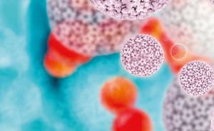 Modernas metodologías diagnósticas para la detección del Virus del Papiloma Humano y prevención del cáncer de cuello uterino