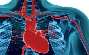 Perfil lipídico en pacientes con diagnóstico reciente de cardiopatía isquémica: estudio transversal en 2012 y 2013, Hospital Luis Vernaza, Ecuador