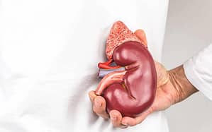 Utilidad de la cistatina C como biomarcador precoz de daño renal en pacientes con diabetes mellitus de tipo 2
