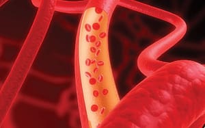 Utilidad de la hemoglobina glucosilada como indicador de la función renal en adultos mayores diabéticos y no diabéticos