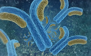 Detección y caracterización de autoanticuerpos anti-ZnT8 en pacientes argentinos con diabetes mellitus tipo 1