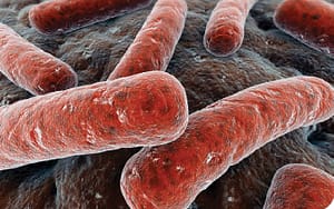 Frecuencia de aislamiento del género Mycobacterium en muestras de orina