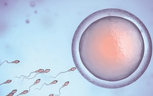 Evaluación citogenética en parejas con esterilidad e infertilidad que concurren al Departamento de Genética del Instituto de Investigaciones en Ciencias de la Salud de la Universidad Nacional de Asunción en el periodo septiembre 2021- febrero 2022